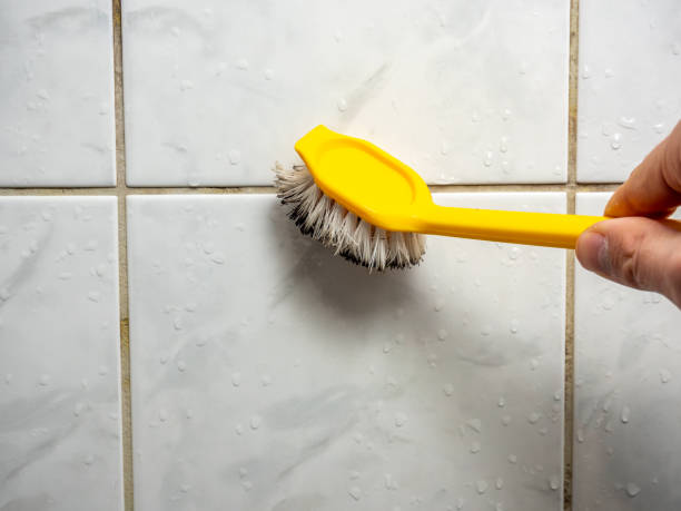 Best Residential Mold Remediation in Salton City, CA