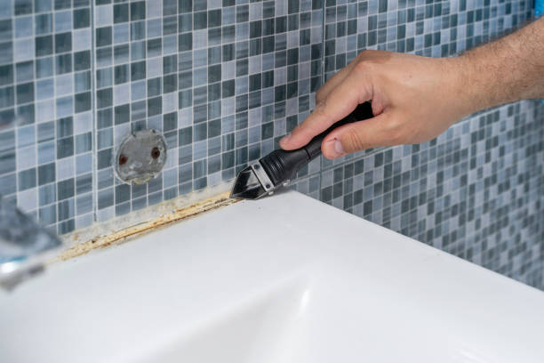 Best Bathroom Mold Remediation in Salton City, CA