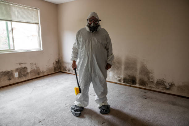 Best HVAC Mold Remediation in Salton City, CA